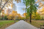 Washington Square