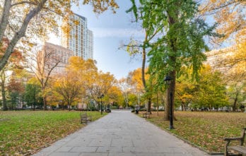 Washington Square